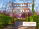 Hanami au Parc de Sceaux 2026, les cerisiers en fleurs et ses  animations