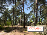 Escalade en Forêt de Fontainebleau - nos photos