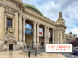 Tour Auto 2026 : plus de 230 voitures de collection s'exposent sous la verrière du Grand Palais