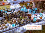 Eden, la Fête des Plantes du Château de la Roche Guyon - photos