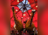 le manège carré sénard