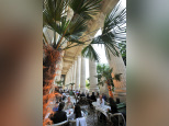 La terrasse du Mini Palais se met à l'heure des thés