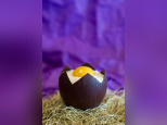 L'oeuf Coco