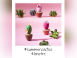 La tendance est au cactus chez Lenôtre