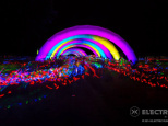 Electric Run 2015