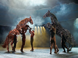 War Horse Spectacle