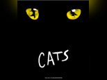cats mogador