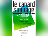 le canard sauvage