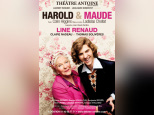 harold & maude