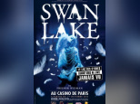 swan lake