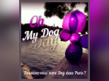 dog day, le lacher de balloon by expo in the city