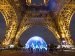 forêt de sapins sous la Tour Eiffel
