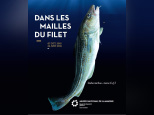Dans les mailles du filet, l'expo au Musée de la Marine