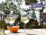 Muscat de Rivesaltes on Ice