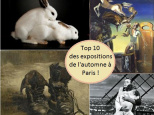 expositions de l'automne 2012 à Paris