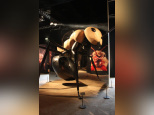 Mille milliards de fourmis, l'exposition au Palais de la Découverte