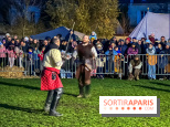 Fête Viking et Marché médiéval vous attendent dans le Val d'Oise