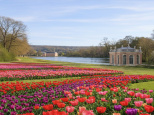 La Journée de la Tulipe au Château de Dampierre en Yvelines