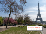 Les cerisiers du Trocadéro fleurissent avec de l'avance en ce printemps 2026