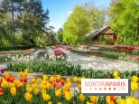 Le Parc Floral de Paris Vincennes, tulipes