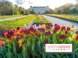 Tulipes et coquelicots, des floraisons exceptionnelles pour les 400 ans du Jardin des plantes 