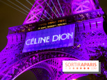 Céline Dion en concert à Paris, pourquoi la jaune est réduite ? 
