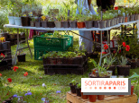 Les Naturiales 2026 à Fontainebleau : marché de plantes et animations nature en Seine-et-Marne