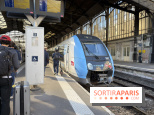 Transports Paris Île-de-France : perturbations métro, RER du 22 au 28 juin 2026