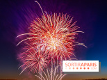 Seine-et-Marne, les feux d'artifice du 14 juillet interdits dans les zones sensibles