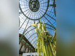 SEASONS : première édition au Grand Palais à Paris le 26 mai 2018