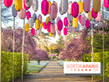 Hanami au Parc de Sceaux 2022, la fête des cerisiers en fleurs