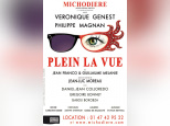 Plein la vue, au Théâtre de la Michodière, véronique genest