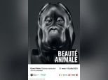 exposition beauté animale au grand palais