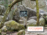 Nuit des Forêts à Fontainebleau 2023 entre art, nature et découvertes gratuites