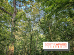 Les Nuits des Forêts 2023 en Seine-Saint-Denis (93) : Le programme