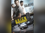 brick mansions