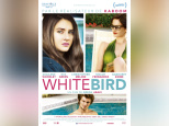 white bird