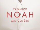 Yannick Noah en concerts au Palais des Sports de Paris en novembre 2014