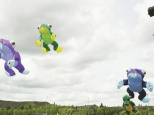Animations Cerf-Volant sur les Berges de Seine