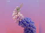 Flume en concert au Trianon de Paris en 2016