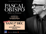 Pascal Obispo en concert à l’Arena Bercy de Paris en décembre 2016