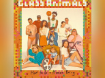 Glass Animals en concert à l’Elysée Montmartre de Paris en novembre 2016