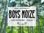 Boys Noize, Djedjotronic et Feadz à La Clairière