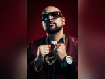 Sean Paul en concert à l'Olympia de Paris en novembre 2017