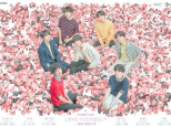 BTS, The Bangtan Boys, en concert au Stade de France en juin 2019