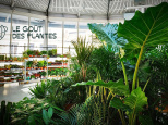 Le Goût des Plantes : nouvelle grande vente de plantes à L'Espace Canal Saint Martin