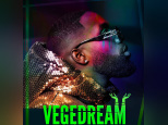 Vegedream en concert à l'Accor Arena de Paris en juin 2021