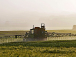 Glyphosate : Bayer va payer 10 milliards de dollars aux plaignants américains