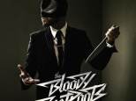 The Bloody Beetroots en concert à Paris au printemps 2013