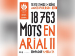18763 mots en arial 11 au Théâtre de Belleville